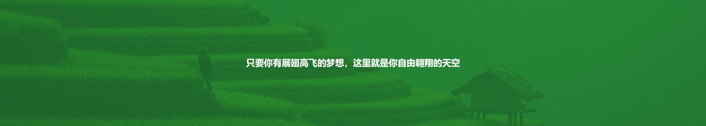 5001拉斯维加斯(中国游)有限公司-BinG百科