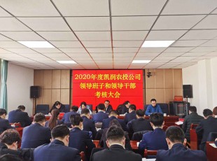 5001拉斯维加斯 召开2020年度向导班子和向导干部审核大会