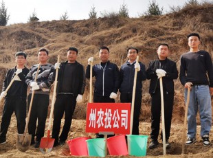 5001拉斯维加斯加入2021年春季义务植树活动