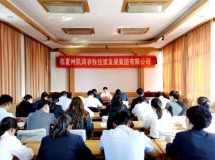 5001拉斯维加斯  召开党史学习教育专题向导